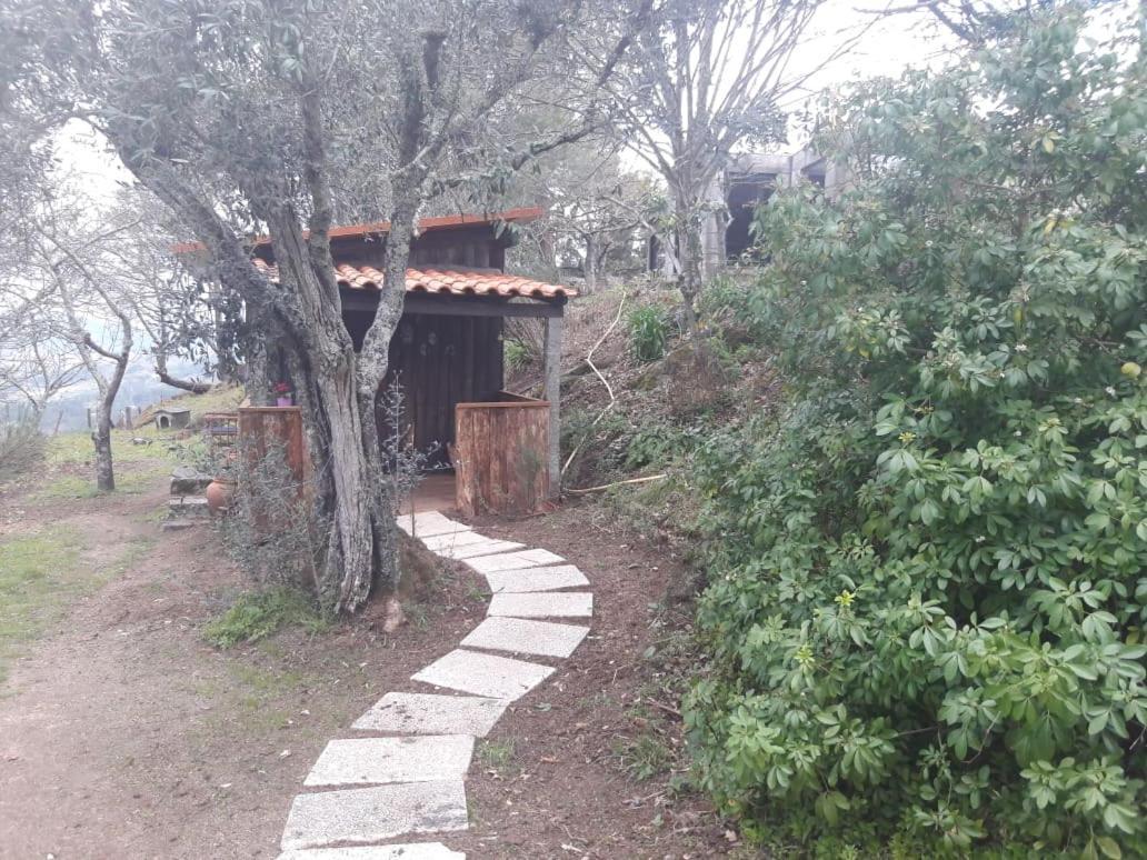Cabana Da Oliveira Marco de Canavezes 외부 사진
