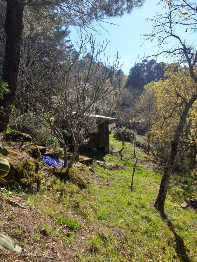 Cabana Da Oliveira Marco de Canavezes 외부 사진