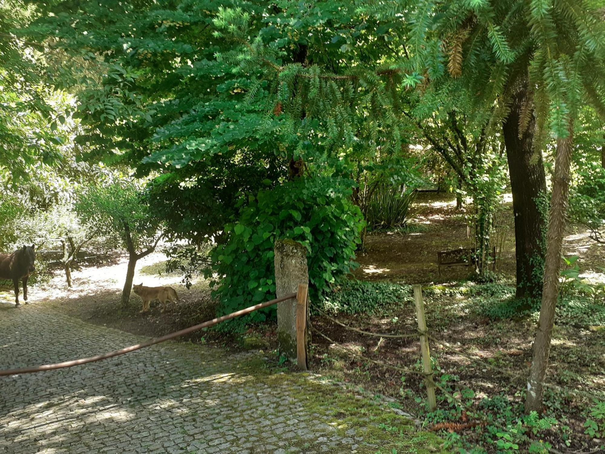Cabana Da Oliveira Marco de Canavezes 외부 사진